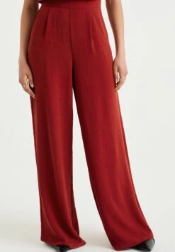 WE FASHION Pantalon Classique - Brown