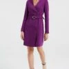 WE FASHION Robe Fourreau - Violet -We Fashion Soldes Boutique e804a80fdc24424d8d2940639b3b94f6